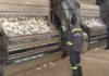 Septentrion : AD-CV veut injecter 10 milliards FCFA pour transformer des produits alimentaires