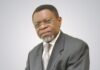« Secteur de l’électricité au Cameroun : Qui veut la « mort » de Socadel ? », Par Emmanuel Noubissie Ngankam Emmanuel Noubissie Ngankam, economiste, ancien haut dirigeant de la Banque Mondiale