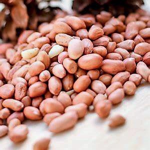 Agroéconomie : le marché des arachides s'annonce difficile. – News du <b>Cameroun</b>