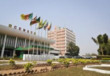 Réserves de change: Les pays de la CEMAC de plus en plus dépendants des réserves du Cameroun