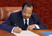 Succession : Paul Biya promulgue la loi révisant la constitution