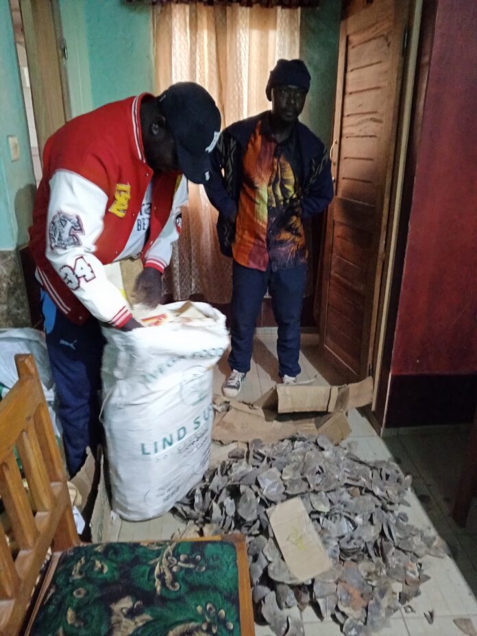 IMG_20250703_112054_009