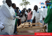 Elevage : chiffrée à 231 milliards FCFA, la filière porcine en plein essor