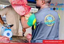 Porciculture : Proporc vise 1,3 milliard de consommateurs africains de viande de porc