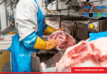 Cameroun: la transformation industrielle de la viande de porc reste encore faible