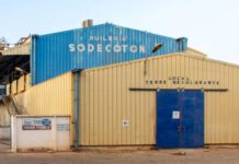 Sodecoton : un bénéfice en hausse de 63 % malgré une chute de production de 76 %