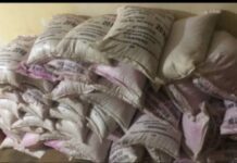 Lékié : polémique autour de la récupération politique des appuis agricoles de l’État