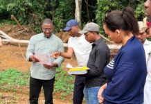 Agro-industrie : BGFIBank Cameroun finance la transformation locale de l’huile de palme