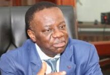 Long »court séjour » de Biya: la leçon constitutionnelle de Fame Ndongo