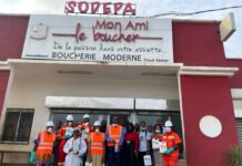 Entreprises publiques : la Sodepa creuse sa perte à 2,13 milliards de FCFA en 2025