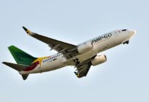 Camair-Co : 101,5 milliards FCFA de pertes en 2019, le redressement toujours inachevé