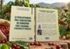 Comment le Cameroun tente de convertir son potentiel agricole en levier d’industrialisation