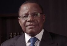 MRC/Succession de Maurice Kamto: Qui sont-ils et que proposent-ils?