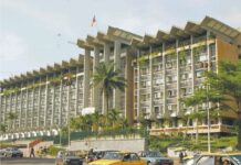 FINANCES PUBLIQUES : Ces centaines de recettes que l’État Camerounais peine encore à transformer en argent