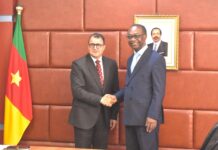 Financement des start-ups du secteur numérique : Le Cameroun sollicite l’expertise de l’Egypte