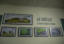 Exposition : Le Déclic, aux bords de l’environnement