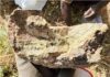 Le britannique BWA prend 51 % d’un projet aurifère dans le Nord-Cameroun