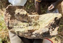 Le britannique BWA prend 51 % d’un projet aurifère dans le Nord-Cameroun