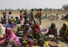 Extrême-Nord : Ces éléments qui ont favorisé le retour des attaques de Boko Haram